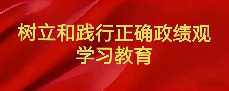 树立和践行正确政绩观学习教育